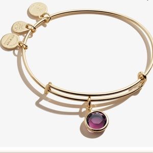Alex and Ani Amethyst Birthstone Charm Bangle